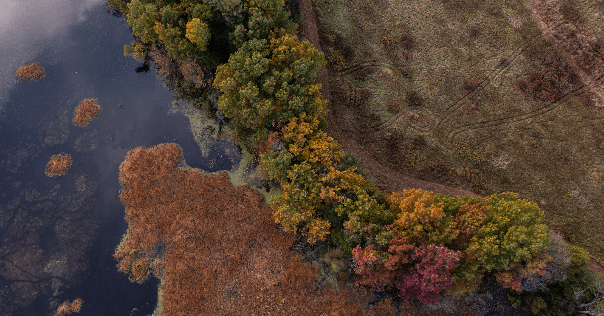 Hunting Land is a Safe Investment
